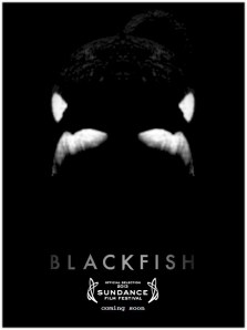 blackfish