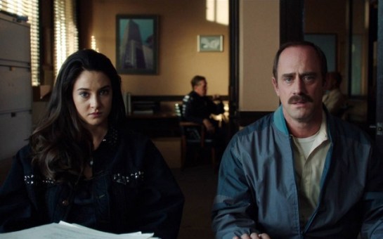 white-bird-in-a-blizzard